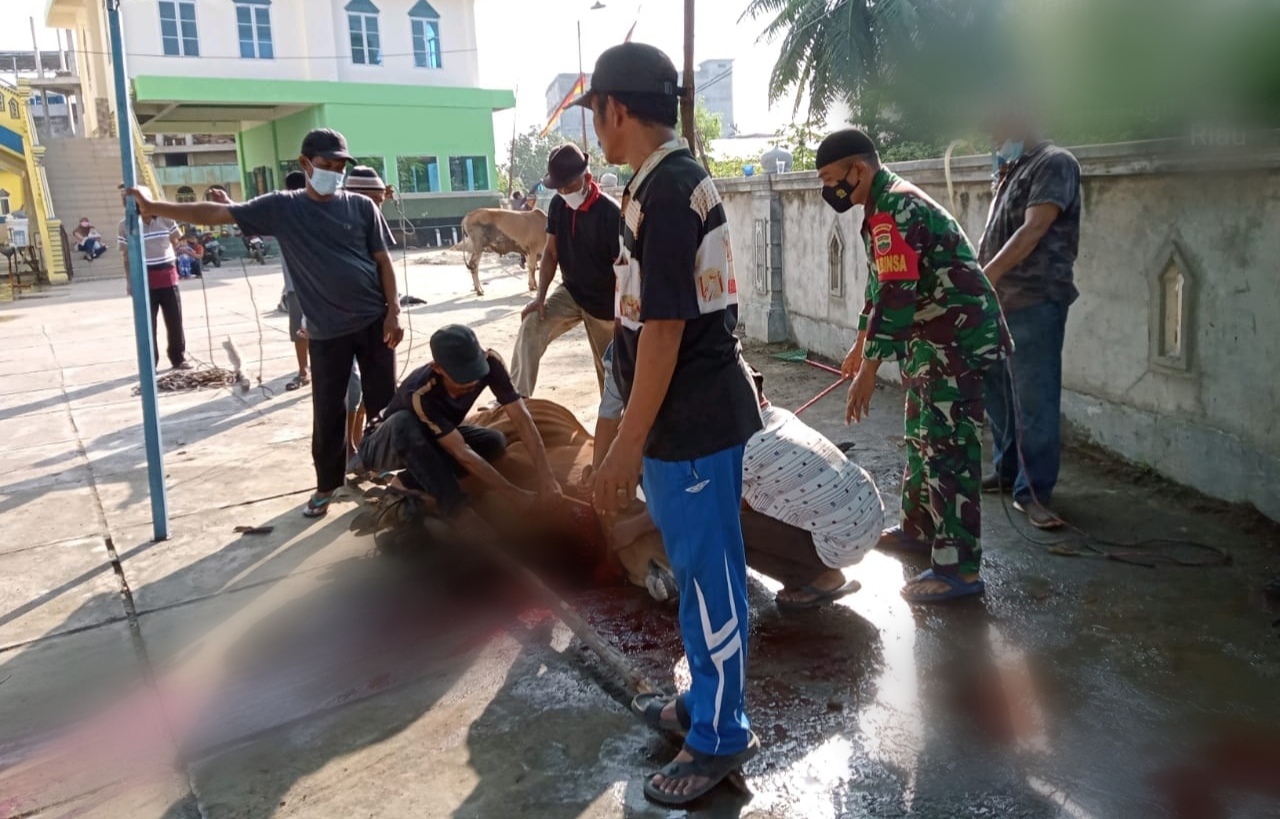 Serda Lendi Piter Sirimba Dampingi Pemotongan Kurban di Masjid Sungai Guntung