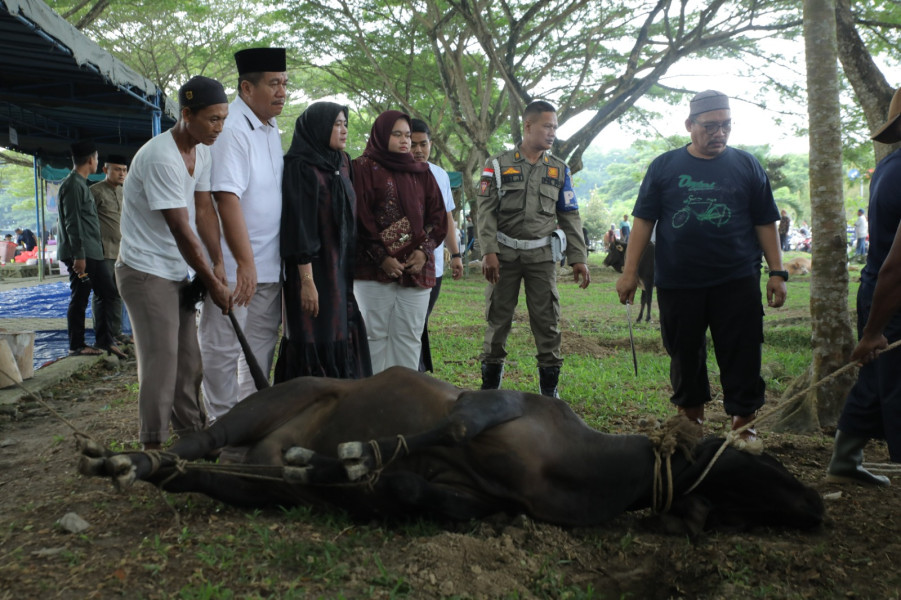 Pemkab Asahan Sembelih 113 Hewan Qurban