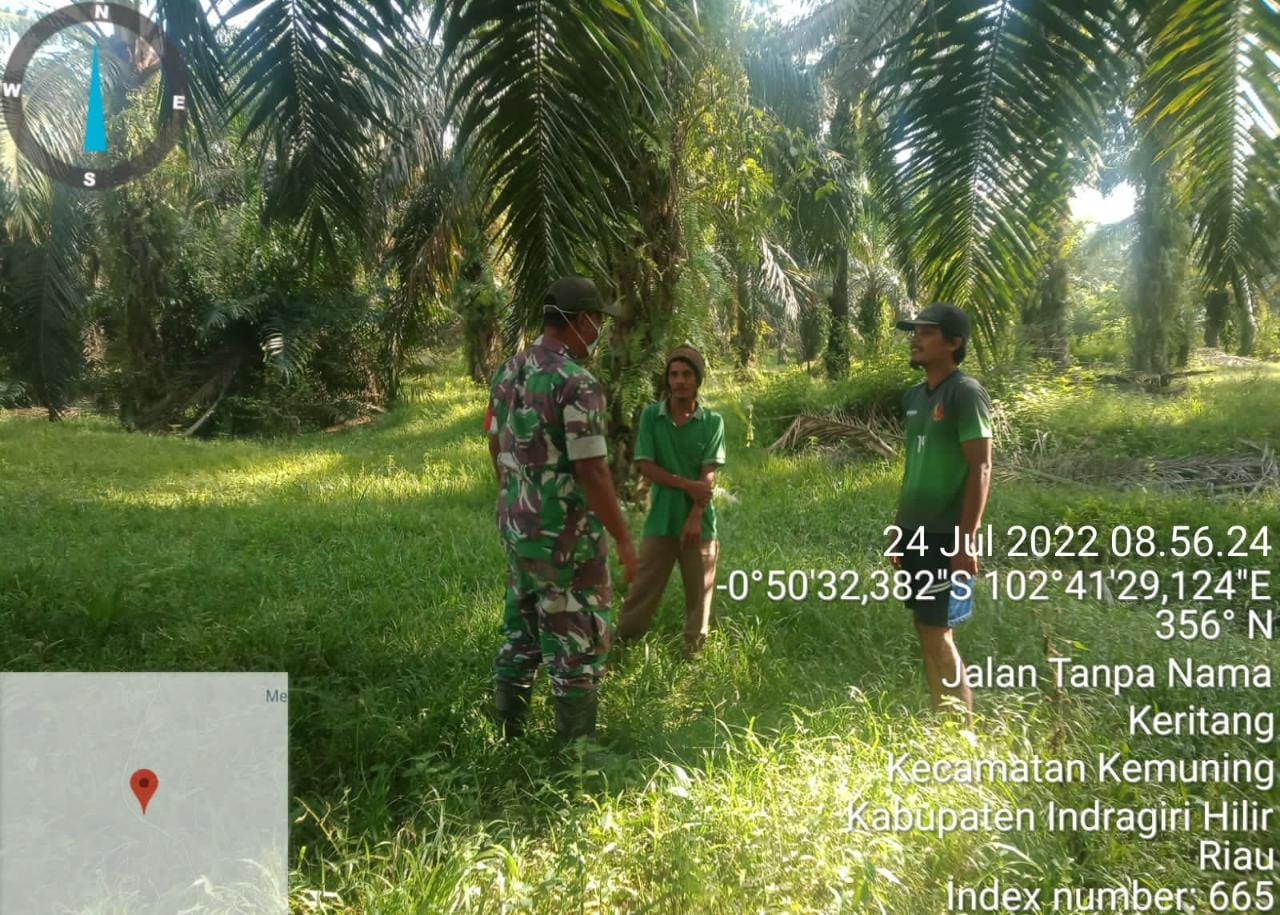 Babinsa Koramil 09/Kemuning Pantau Titik Api Terhadap Karhutla di Wilayah