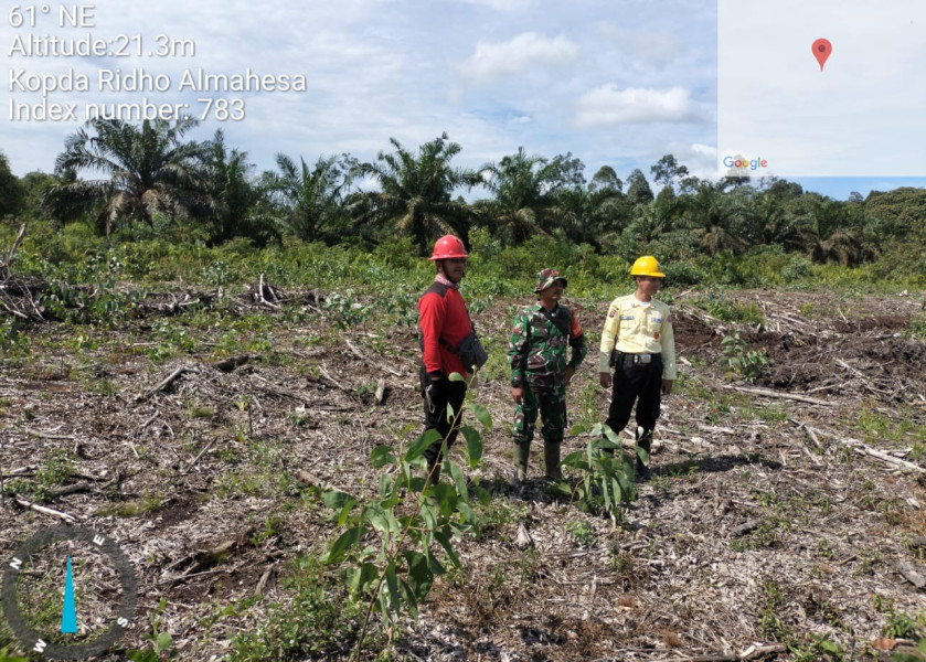 Bhabinsa Koramil 05/GAS Patroli Rutin Di lahan Terbuka Area PT.MSK