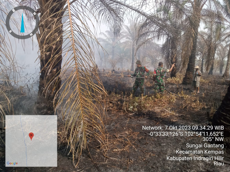 Proses Pemadaman dan Pendinginan Terus Dilakukan Oleh Babinsa Koramil 03/Tpl Terkait Karhutla