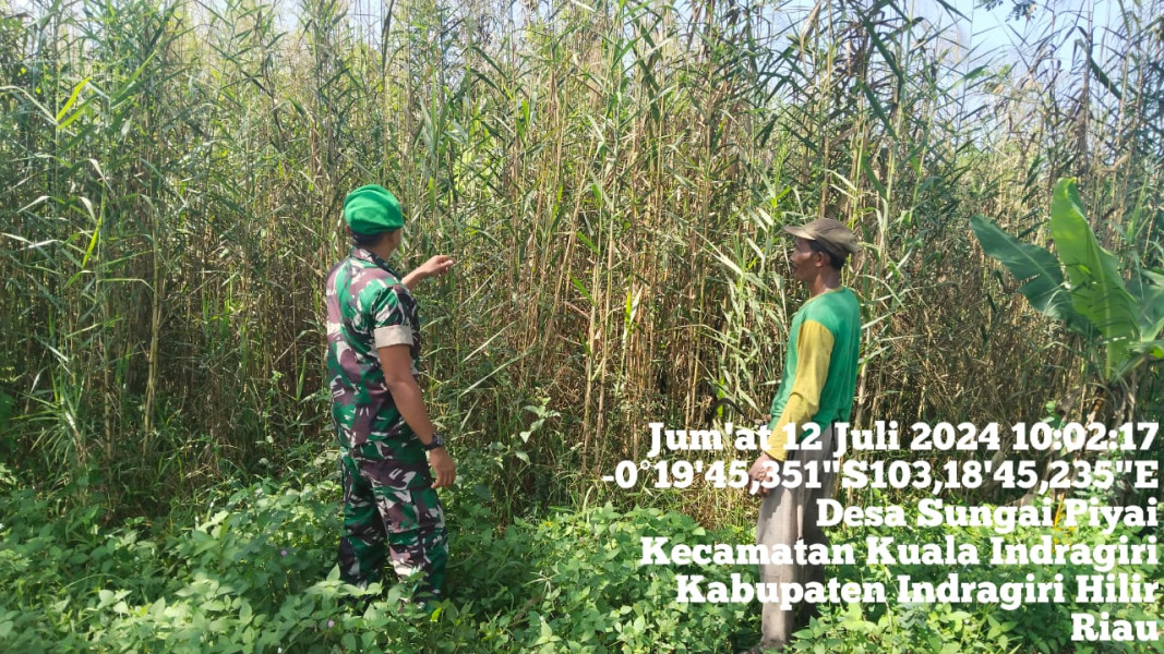 Kopda Danu Andre S Rutin Lakukan Patroli di Wilayah Binaan Koramil 04/Kuindra