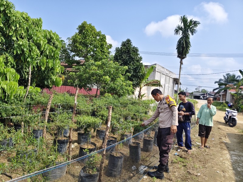 Di Baris Cabai Parit 7, Polsek Tempuling dan Muhibbah Menenun Swasembada