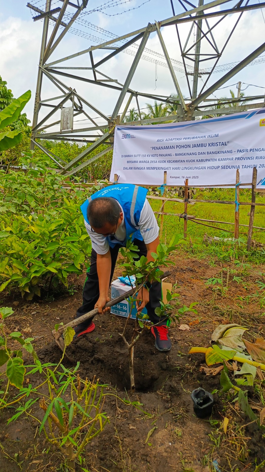 Aksi Nyata PLN UPT Pekanbaru, Tanam Pohon Demi Bumi yang Lebih Baik