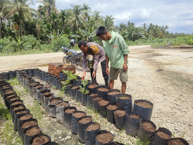Bhabinkamtibmas Teluk Kabung Dampingi Petani Cabe