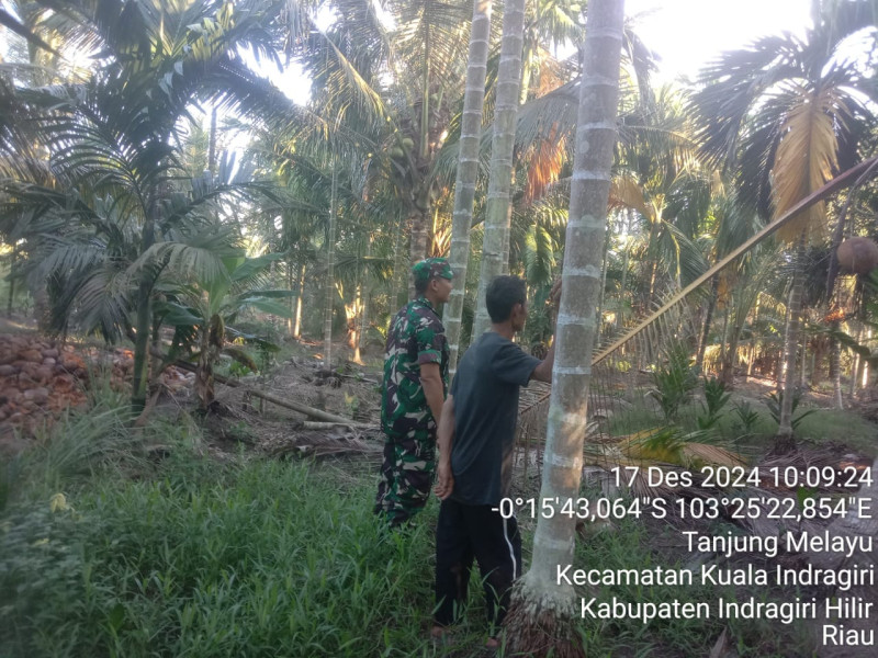 Patroli Karhutla di Desa Tanjung Melayu Berjalan Dengan Sukses