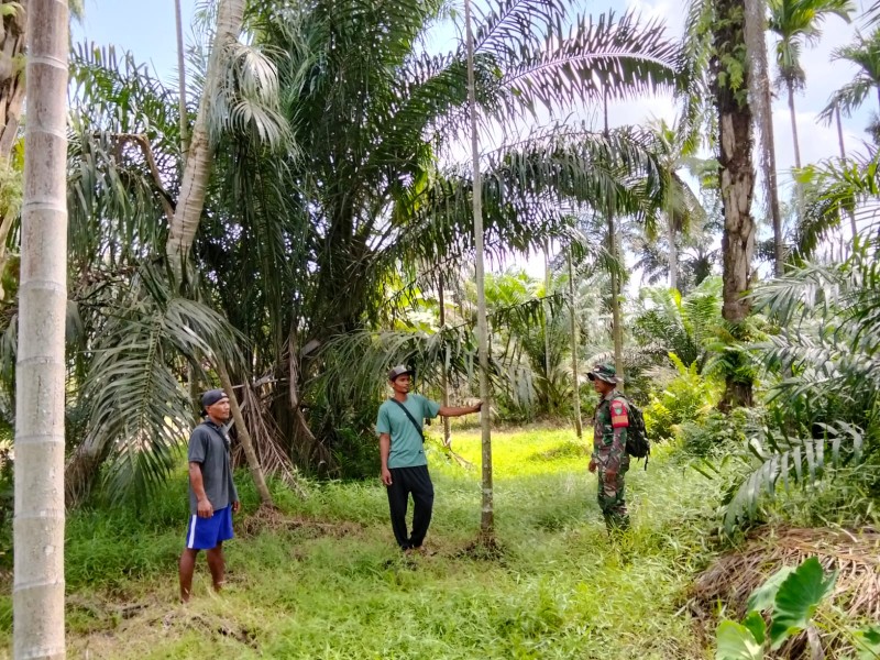 Serda Suirwansah: Babinsa Koramil 03/Tpl Gencar Patroli Tapal Batas, Pastikan Wilayah Aman