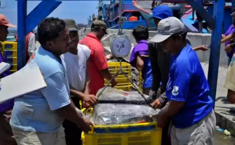 Ikan Diambil dari Laut RI Rp220 Triliun, Kok PNBP Kelautan Cuma Rp600 Miliar?
