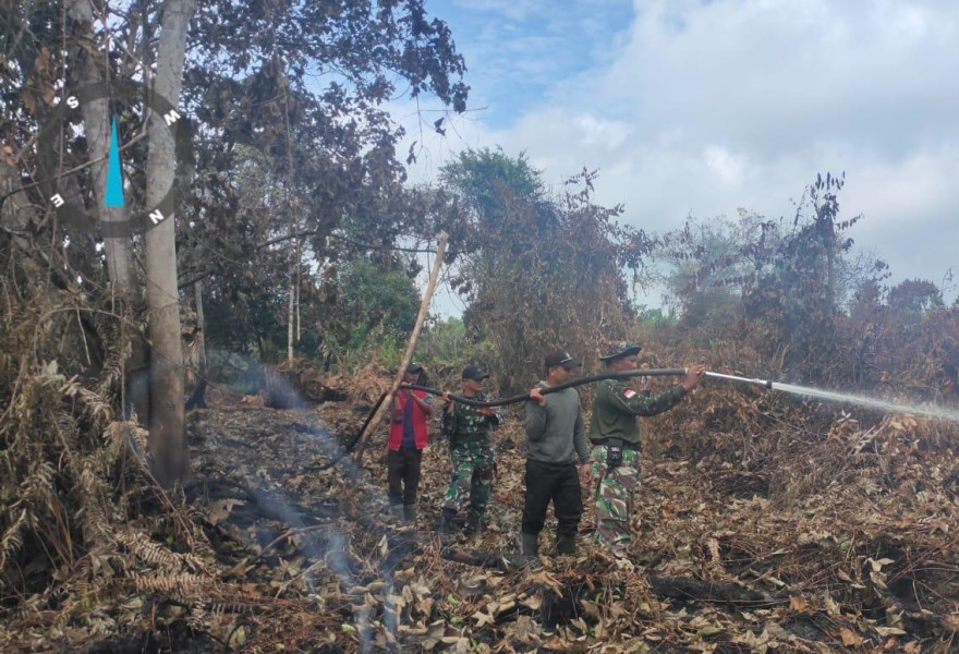 Babinsa Koramil 03/Tpl Lakukan Pendinginan Kebakaran Hutan di Kelurahan Pangkalan Tujuh