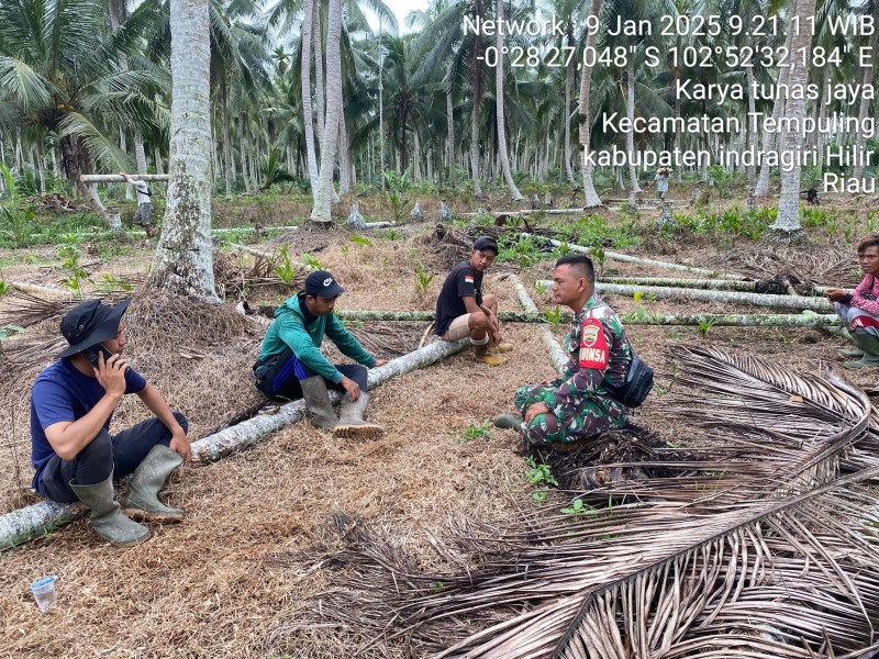 Jalin Keakraban, Babinsa Koramil 03/Tpl Komsos Dengan Petani Kelapa di Desa Binaan