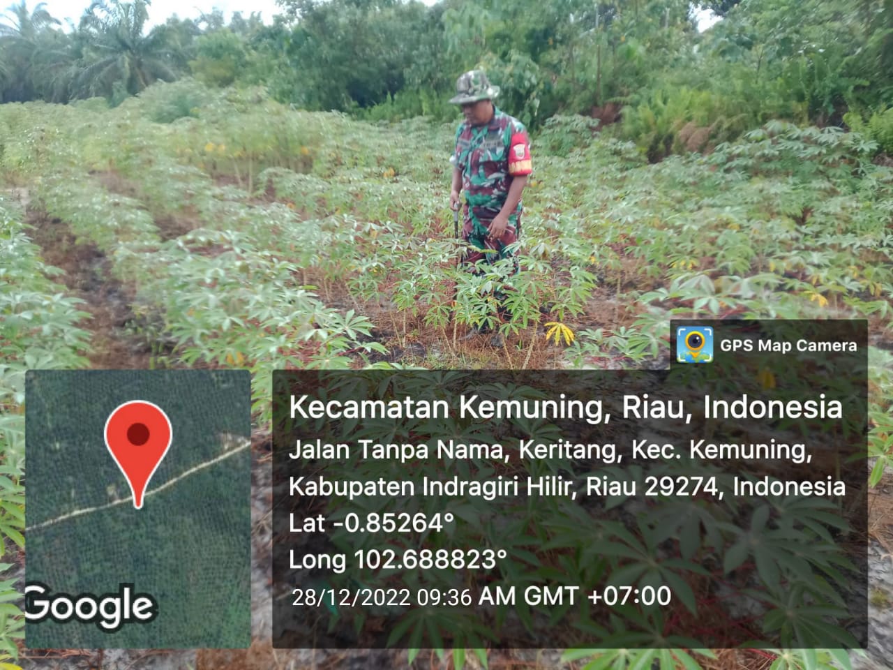 Rutin Jaga Gulma Bersama Koramil 09/Kemuning