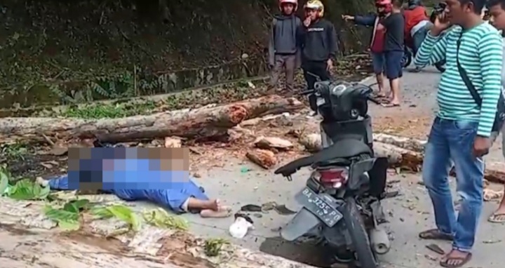 Lagi Asik Berkendara, Mahasiswa Tewas Mengenaskan Usai Tertimpa Pohon
