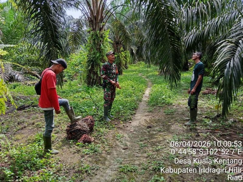 Babinsa Koramil 09/Kemuning Ajak Masyarakat Jaga Lingkungan, Hindari Bahaya Karhutla