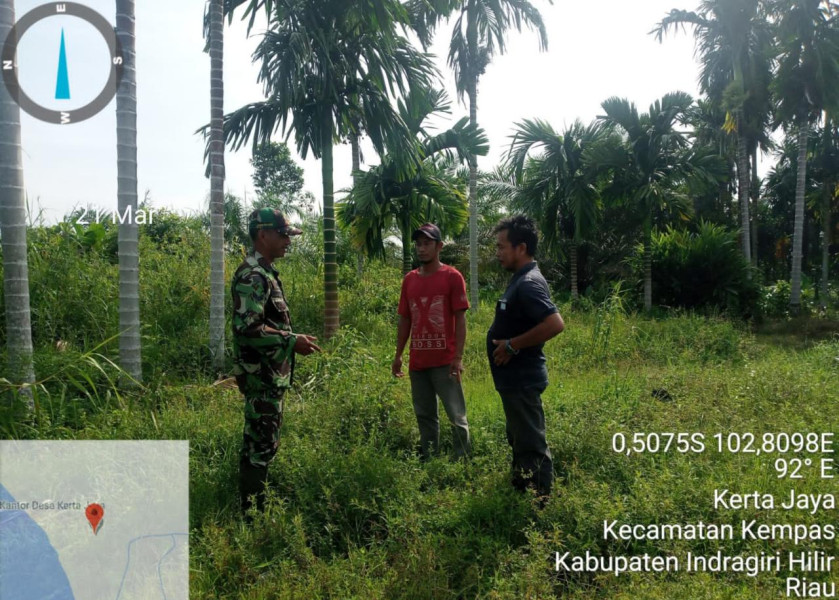 Babinsa 03/Tpl Lakukan Upaya Pencegahan Dengan Rutin Patroli Dan Sosialisasi Karhutla Di Desa