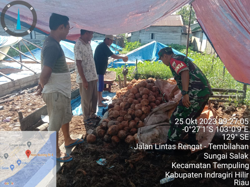 Babinsa Koramil 03/Tpl Komsos dengan Petani Kopra Sungai Salak