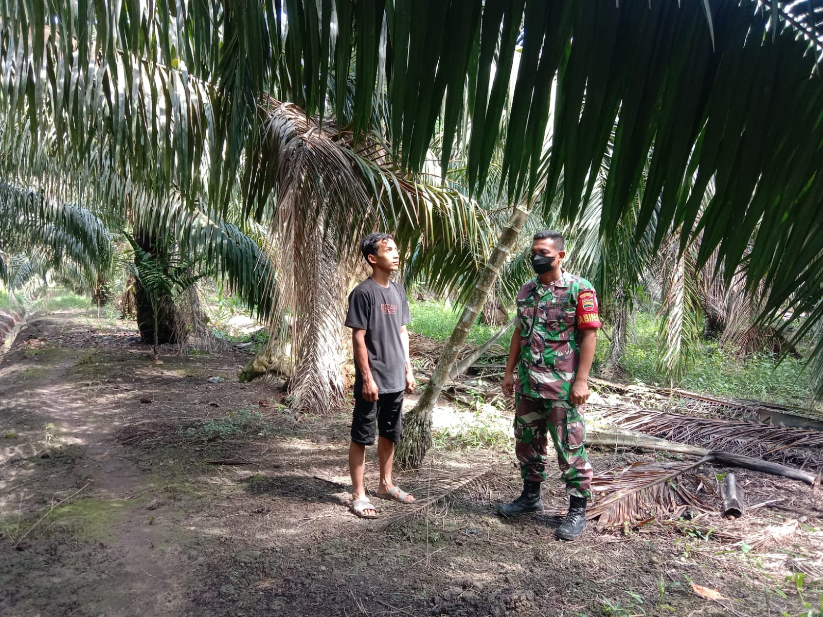 Cegah Kebakaran Hutan dan Lahan Bersama Babinsa Koramil 04/Kuindra