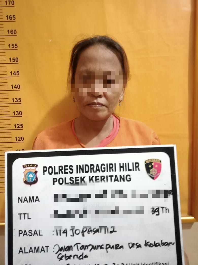 Jual Shabu, Ibu Rumah Tangga di Kecamatan Keritang Ini Diringkus Aparat