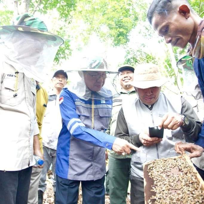 Miliki Potensi Besar, Kelompok Tani Madu Rimba Jaya Desa Harapan Jaya Hasilkan Hampir 2 Ton Madu