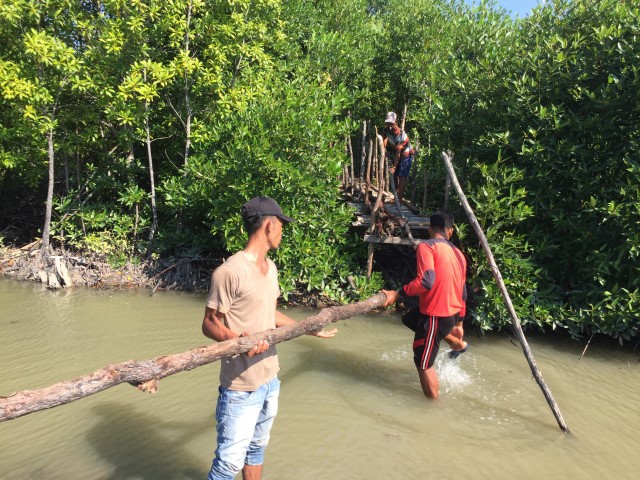 Mahasiswa Kukerta UR Desa Puteri Sembilan Lakukan Kegiatan Sadar Wisata Di Kawasan Hutan Mangrove