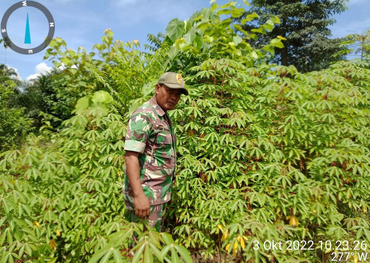 Musim Hujan, Koramil 09/Kemuning Tetap Lakukan Pembersihan Gulma
