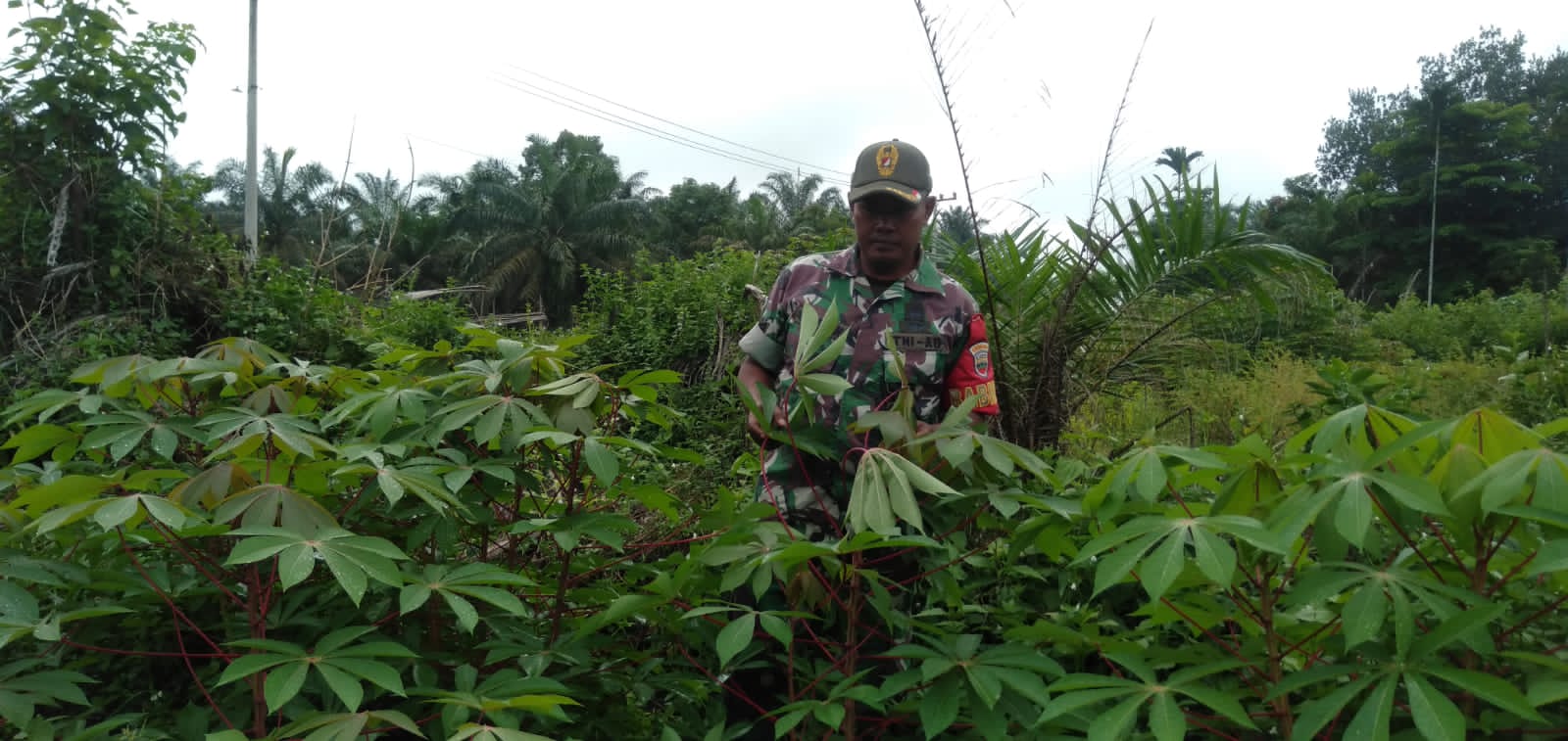 Pembersihan Gulma dan Rumput Oleh Koramil 09/Kemuning di Wilayah Binaan