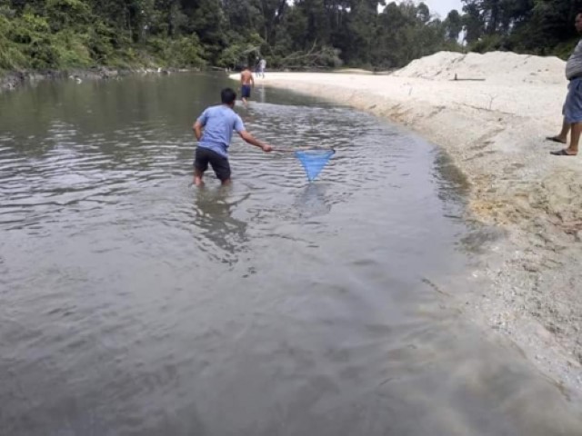 Banyak Ikan yang Mati, Sungai Bawang di Kuansing Dibanjiri Limbah