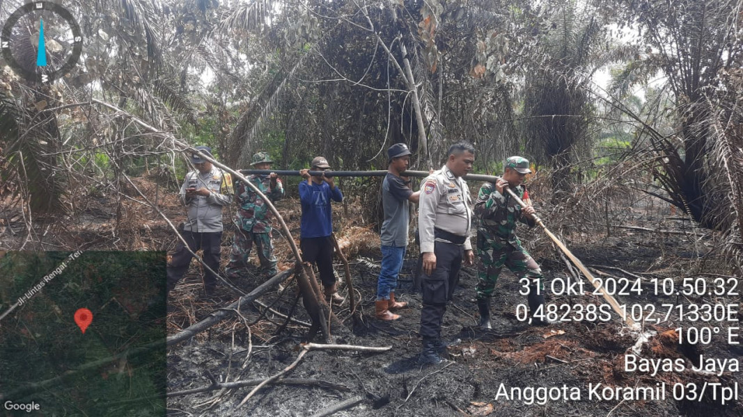 Koramil 03/Tpl dan Tim Gabungan Masih Intensif Lakukan Pemadaman Pendinginan Karhutla di Bayas Jaya