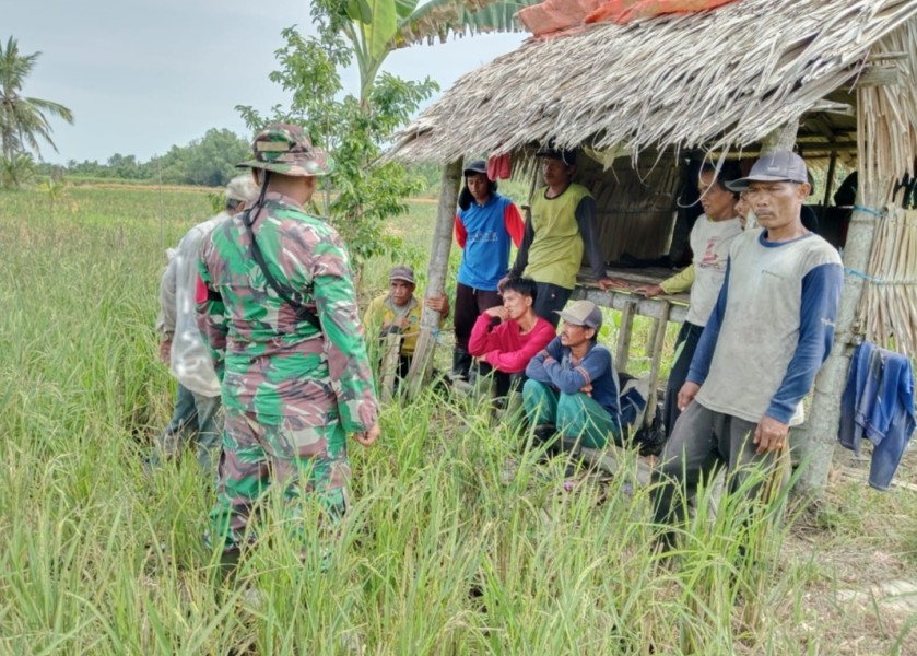 Babinsa Koramil 07/Reteh Kodim 0314/Inhil Laksanakan Kegiatan SDM dengan Warga Petani