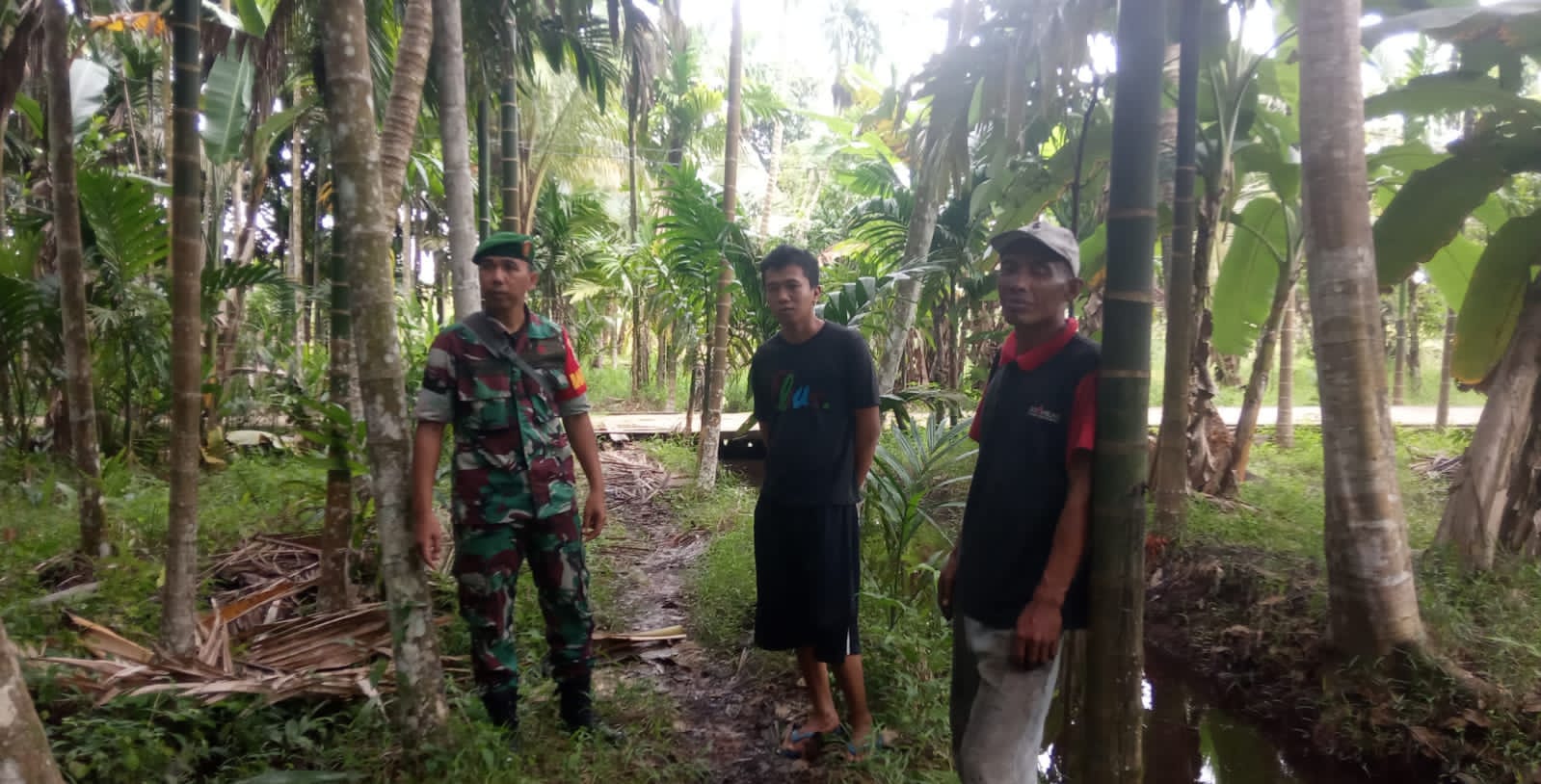 Peduli Terhadap Hutan dan Lahan, Babinsa Koramil 04/Kuindra Turun Ke Wilayah