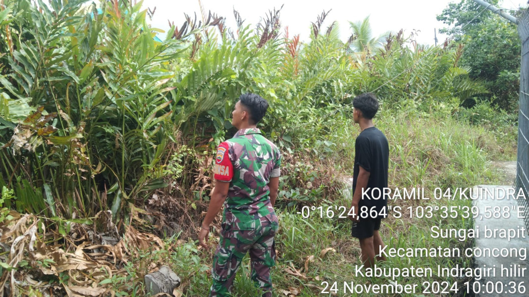 Babinsa Koramil 04/Kuindra Rutin Lakukan Pemantauan Terhadap Karhutla di Binaan