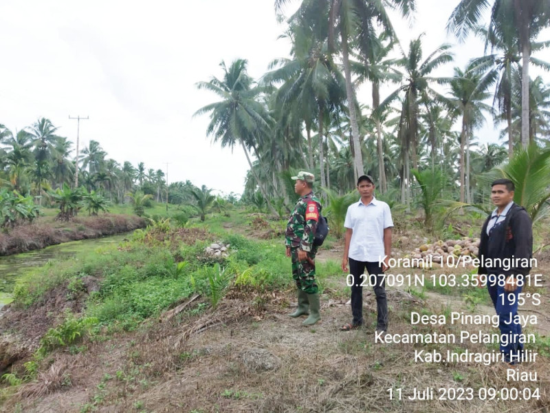Babinsa Koramil 10/Pelangiran Patroli Karhutla di Daerah Rawan Kebakaran Terus Dilakukan
