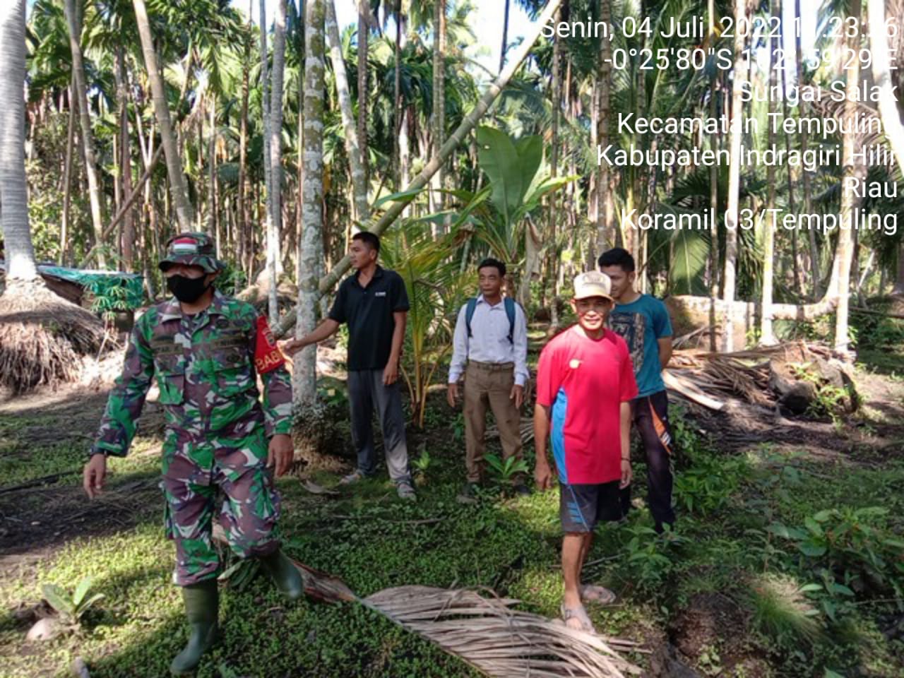 Susuri Kebun Warga, Babinsa Koramil 03/TPL Lakukan Patroli Dan Sosialisasi Karhutla