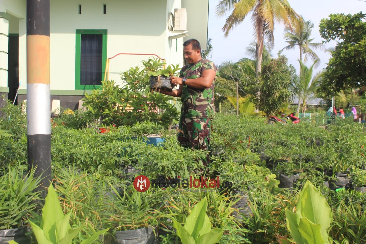 Hijaukan Pekarangan, Koptu Adri Chandra Lakukan Budidaya Tanaman dengan Polybag 