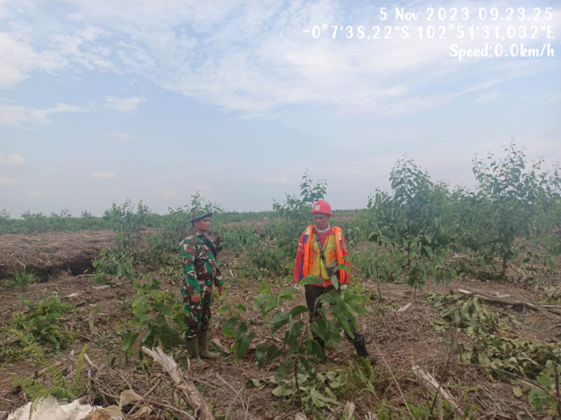 Babinsa Koramil 05/Gas Kodim 0314/Inhil Gencar Lakukan Patroli Mitigasi Lahan Terbuka