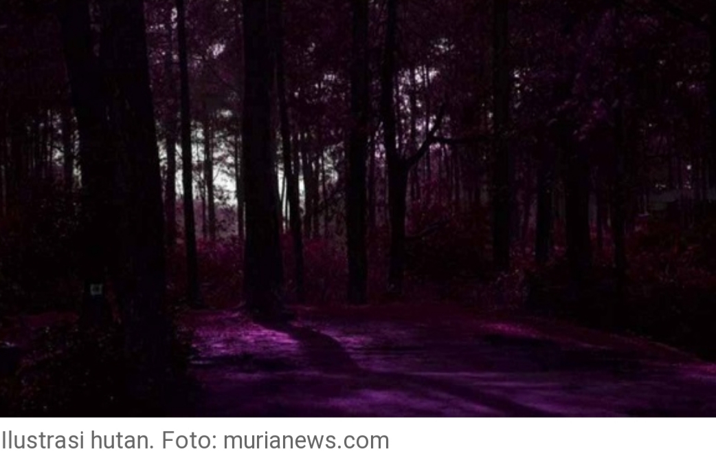 Ngeri...Suara Tangis Perempuan Mirip Kuntilanak Teror Warga  Dua Malam Berturut-turut Ngeri...Suara Tangis Perempuan Mirip Kuntilanak Teror Warga  Dua Malam Berturut-turut