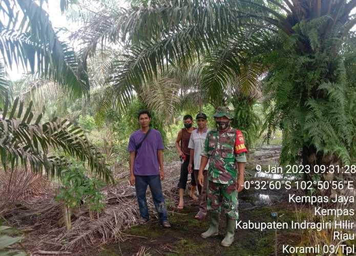 Dalam Patroli Karhutla, Babinsa Koramil 03/Tpl Tidak Ditemukan Adanya Titik Api