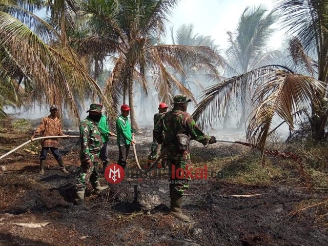 Kebakaran Lahan di Gaung Inhil, Merambat ke Kebun Kelapa Masyarakat