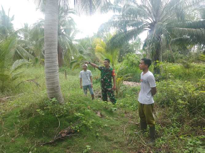 Babinsa Koramil 04/Kuindra Cegah Kebakaran Melalui Sosialisasi Karlahut dan Patroli