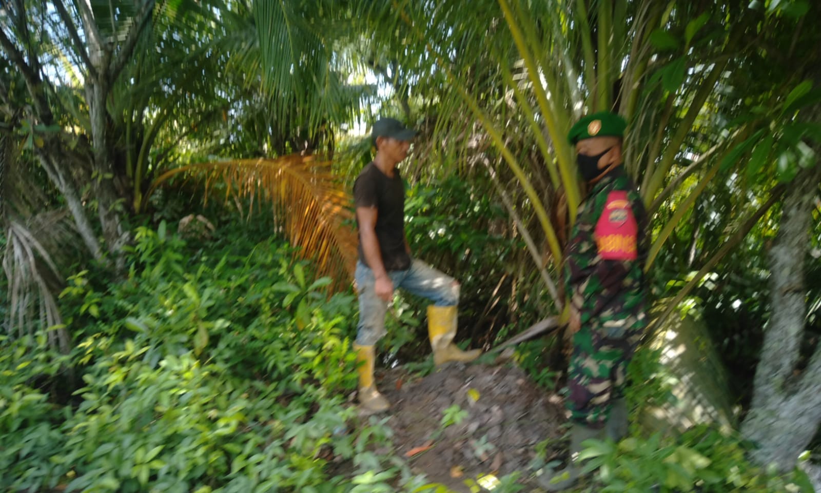 Babinsa Koramil 04/Kuindra Rutin Ingatkan Warga yang di Kebun Soal Karhutla