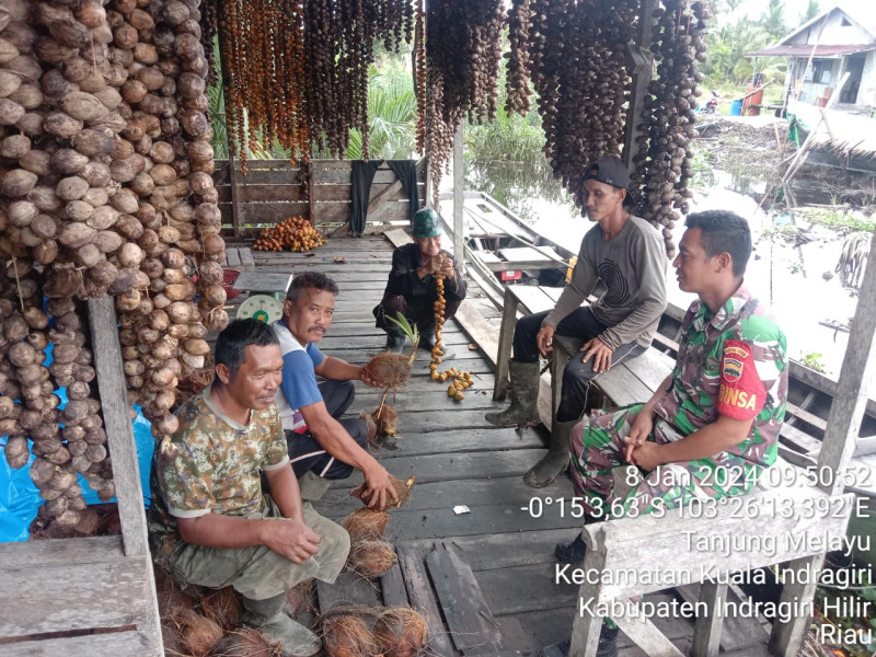 Babinsa Koramil 04/Kuindra Berbincang-bincang Dengan Petani Kelapa dan Pinang