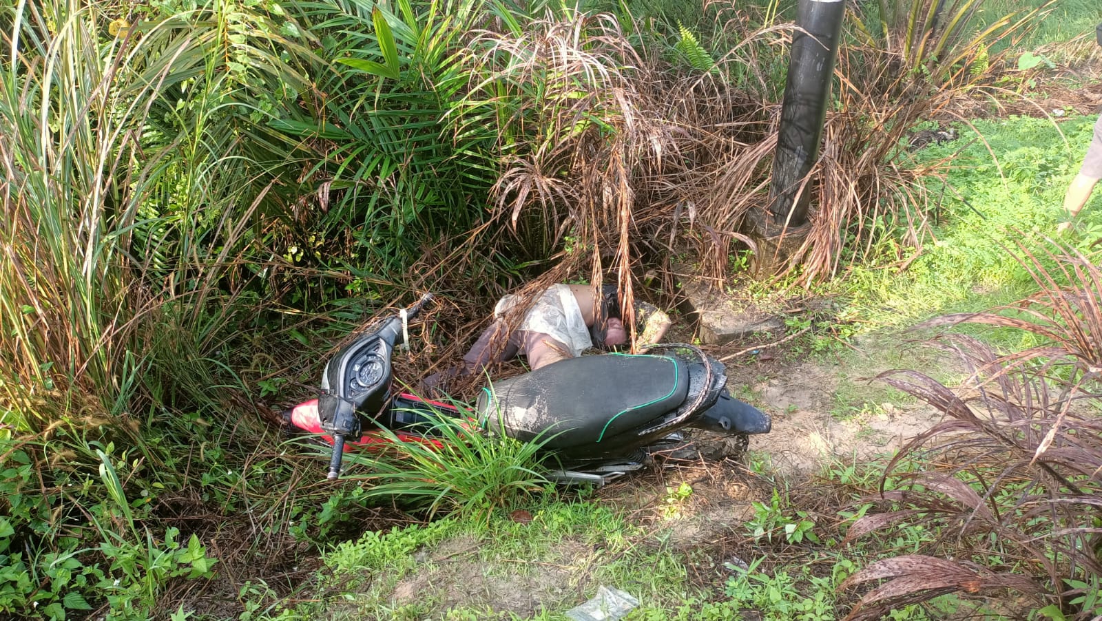 Kecelakaan Tunggal, Pengendara Sepeda Motor Tewas di TKP