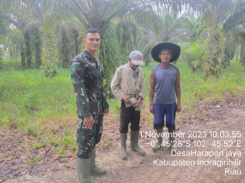 Sudah Sering Turun Hujan, Babinsa 03/Tpl  Kopda Kerius Zai Tetap Lakukan Patroli Dan Sosialisasi Karlahut