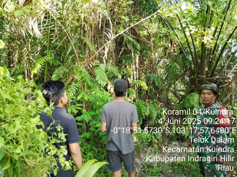 Babinsa Koramil 04/Kuindra Laksanakan Patroli Karhutla untuk Mencegah Kebakaran Hutan Secara Rutin