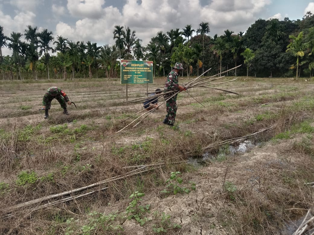 Maksimalkan Ketahanan Pangan, Babinsa 03/Tempuling Gerak Cepat Siapkan Lahan Jagung 