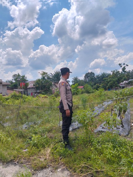 Bhabinkamtibmas Aipda Rafli M Melaksanakan Kegiatan Monitoring Lahan di Kampung Pangkalan Makmur