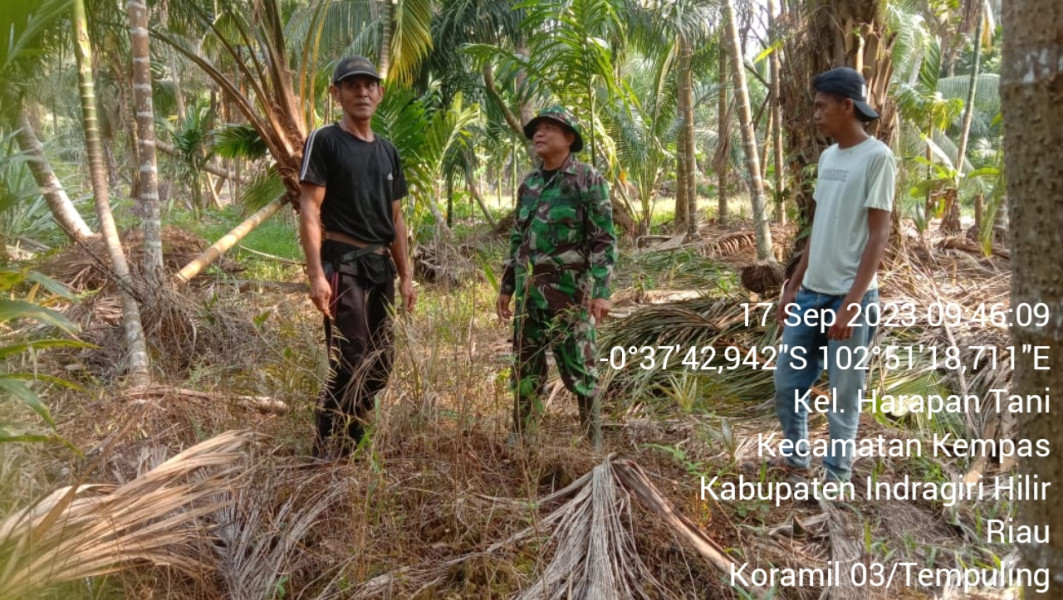 Babinsa 03/Tpl Dan Warga Laksanakan Patroli Cegah Kebakaran Hutan Dan Lahan