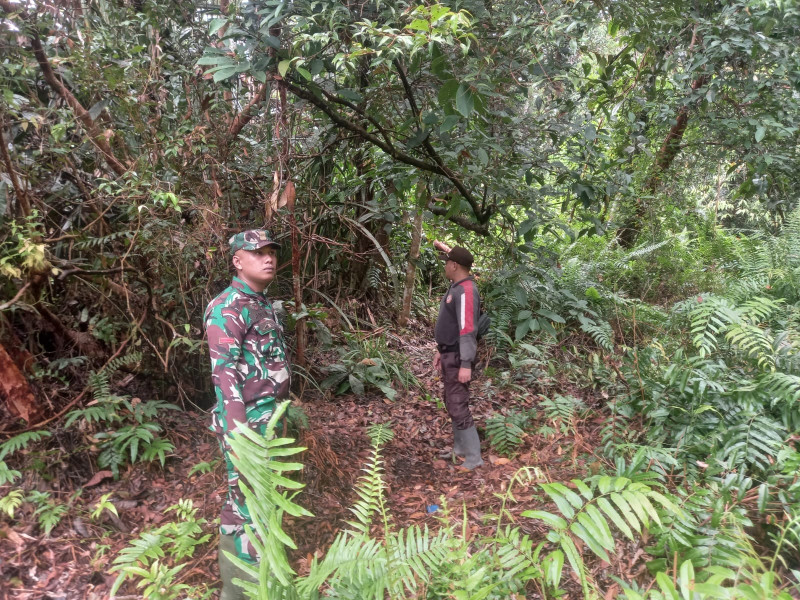 Babinsa 05/Gas Pratu Sandi Wahyudi Giat Laksanakan Patroli Rutin Hutan Dan Lahan Bersama Masyarakat