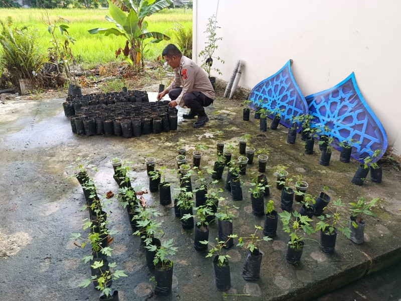 Polri Hadir Untuk Petani: Proses Pembibitan Ketat Di Bank Pohon Polsek Keritang