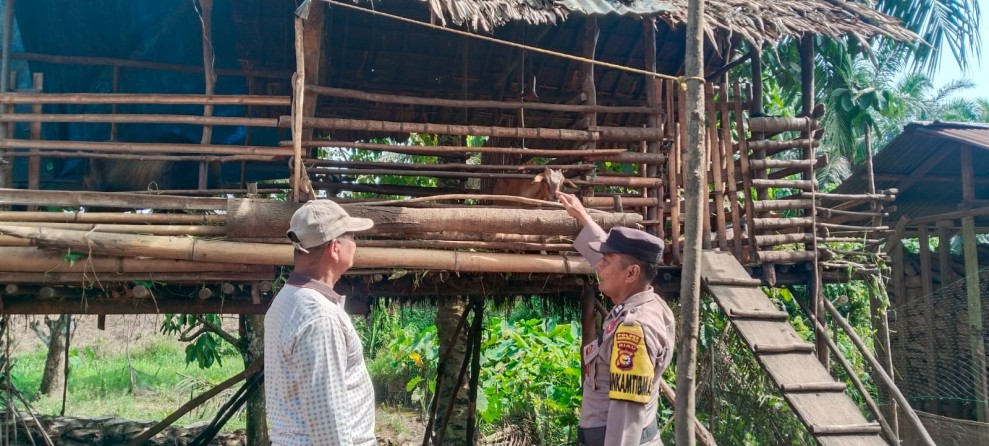Bhabinkamtibmas Air Balui Pacu Ternak Kambing Produktif