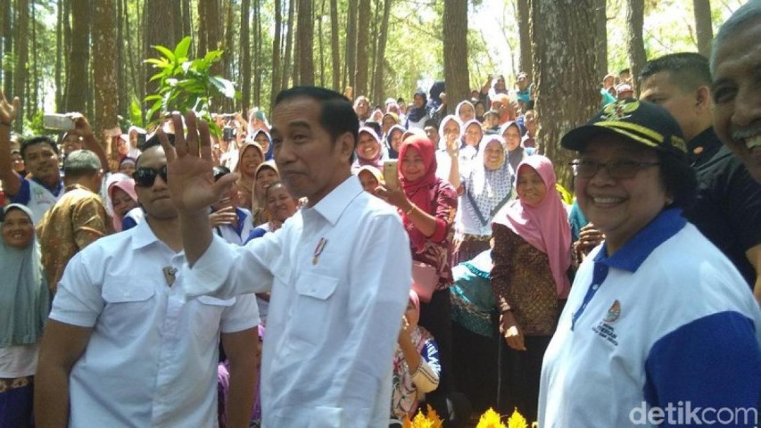 Tiba di Hutan Pinus Bantul, Jokowi Disambut Tabuhan Kentongan Bambu
